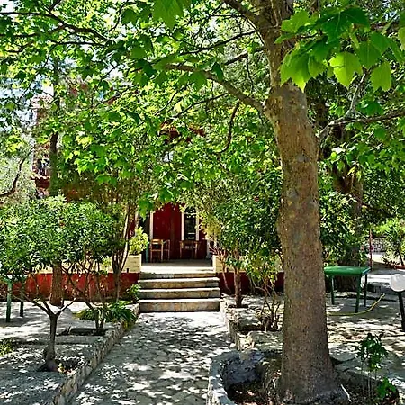 アパートホテル Belvedere Zakynthos 3*