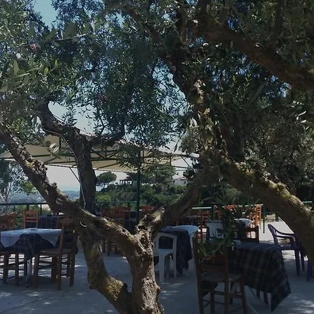 Hotel apartamentowy Belvedere Zakynthos Vasilikí