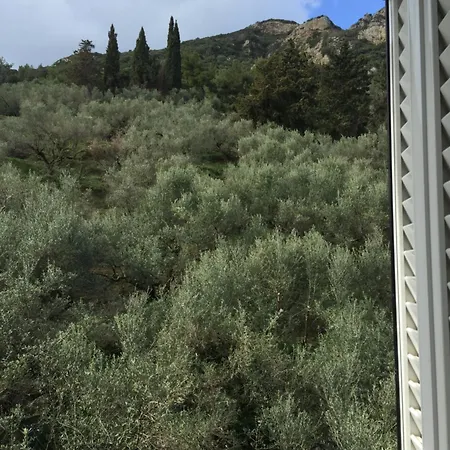 Belvedere Zakynthos מלון דירות 3*