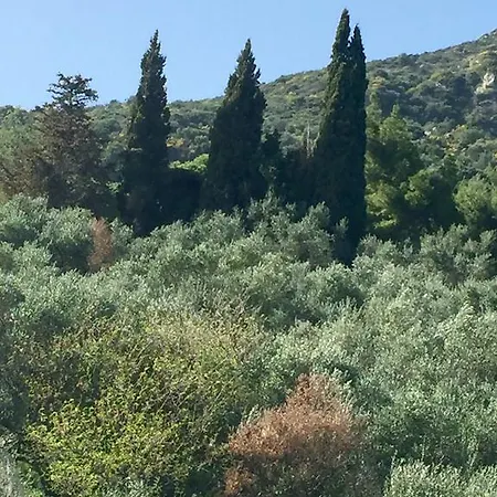 מלון דירות Belvedere Zakynthos Vasilikí