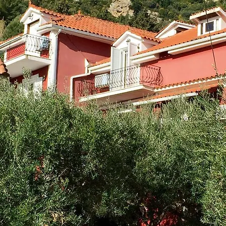 扎金索斯丽城一室公寓 3* Vasilikí