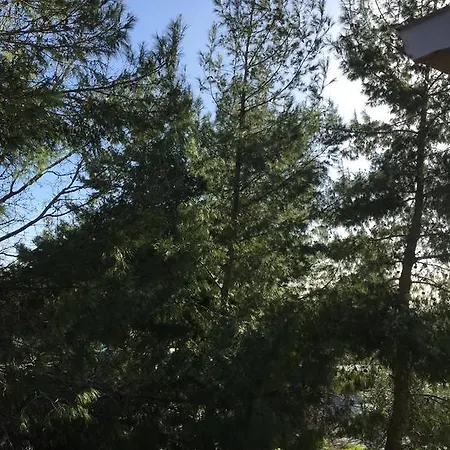 扎金索斯丽城一室公寓 Vasilikí