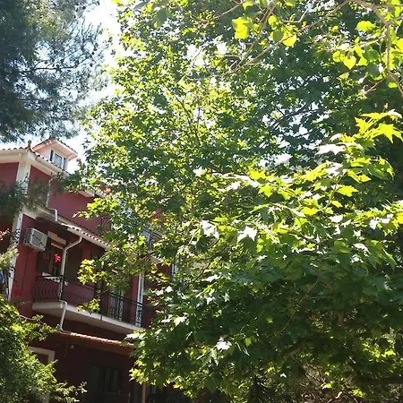 Belvedere Zakynthos מלון דירות Vasilikí